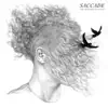 Saccade - The Pictures We Paint - EP